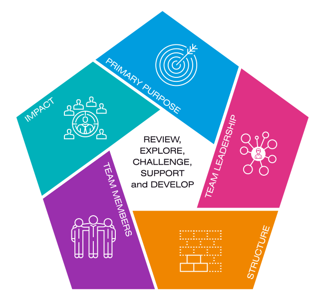 Acorn Coaching - 5 Dimensions of Teams Model